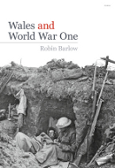 A picture of 'Wales and World War One' 
                              by Robin Barlow